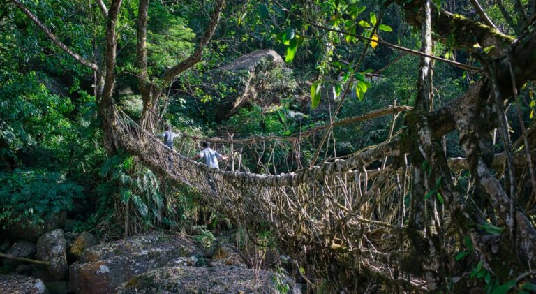 N D Meghalaya Tour Adventurush