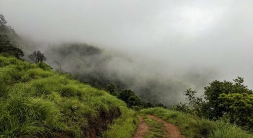 Brahmagiri Peak Trek: Trek To Brahmagiri From Bangalore | AdventuRush