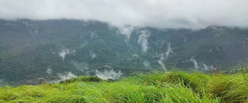 Brahmagiri Peak Trek: Trek To Brahmagiri From Bangalore | AdventuRush